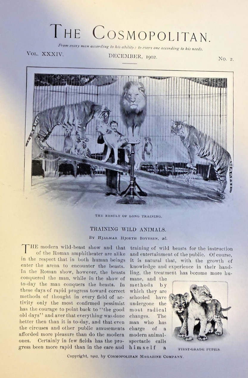 1902 Training Wild Animals Sakes Lions Kangaroos Polar Bears illustrated