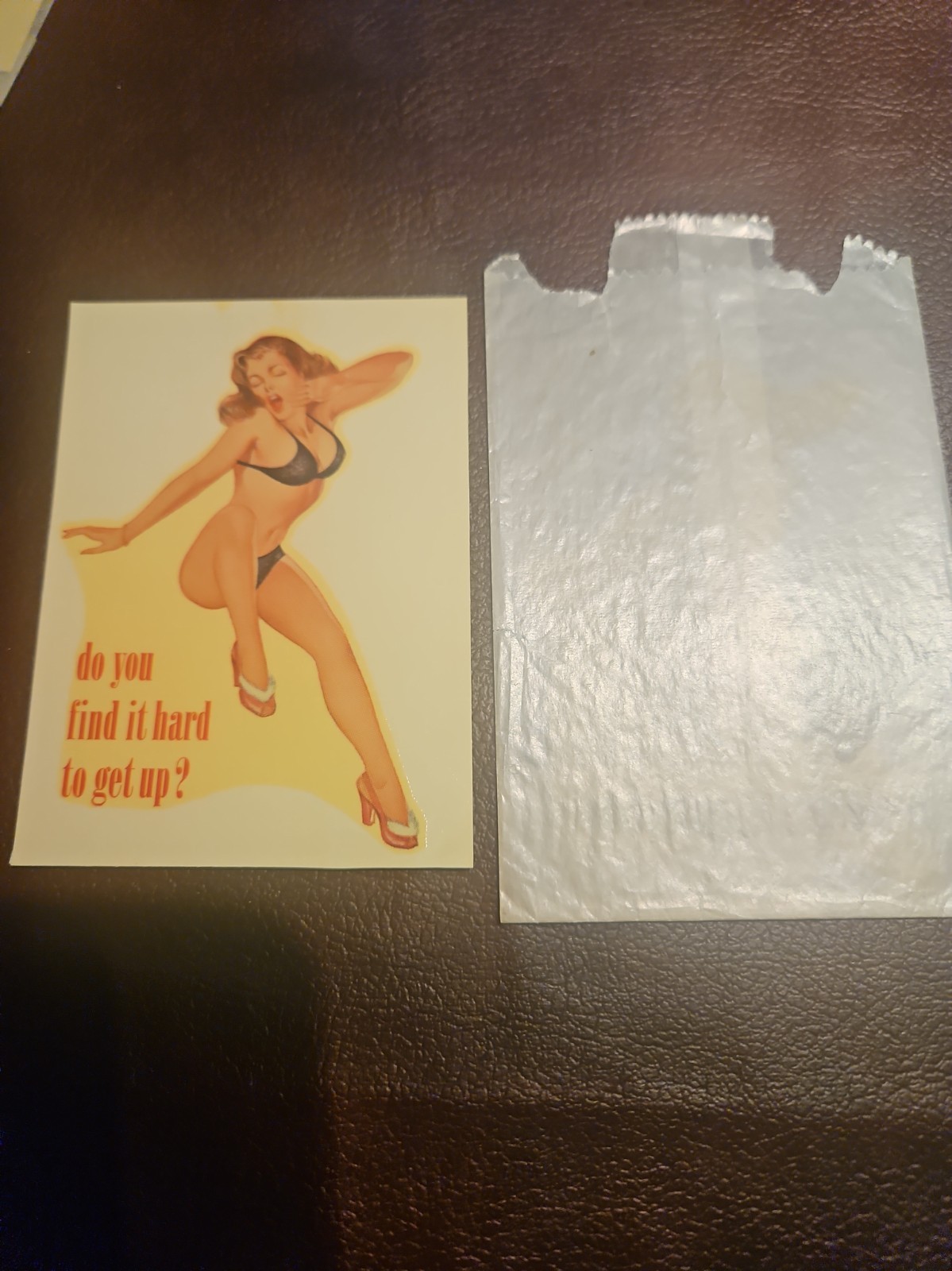 VINTAGE ORIGINAL  SOUVENIR PINUP WATER DECAL ART  3