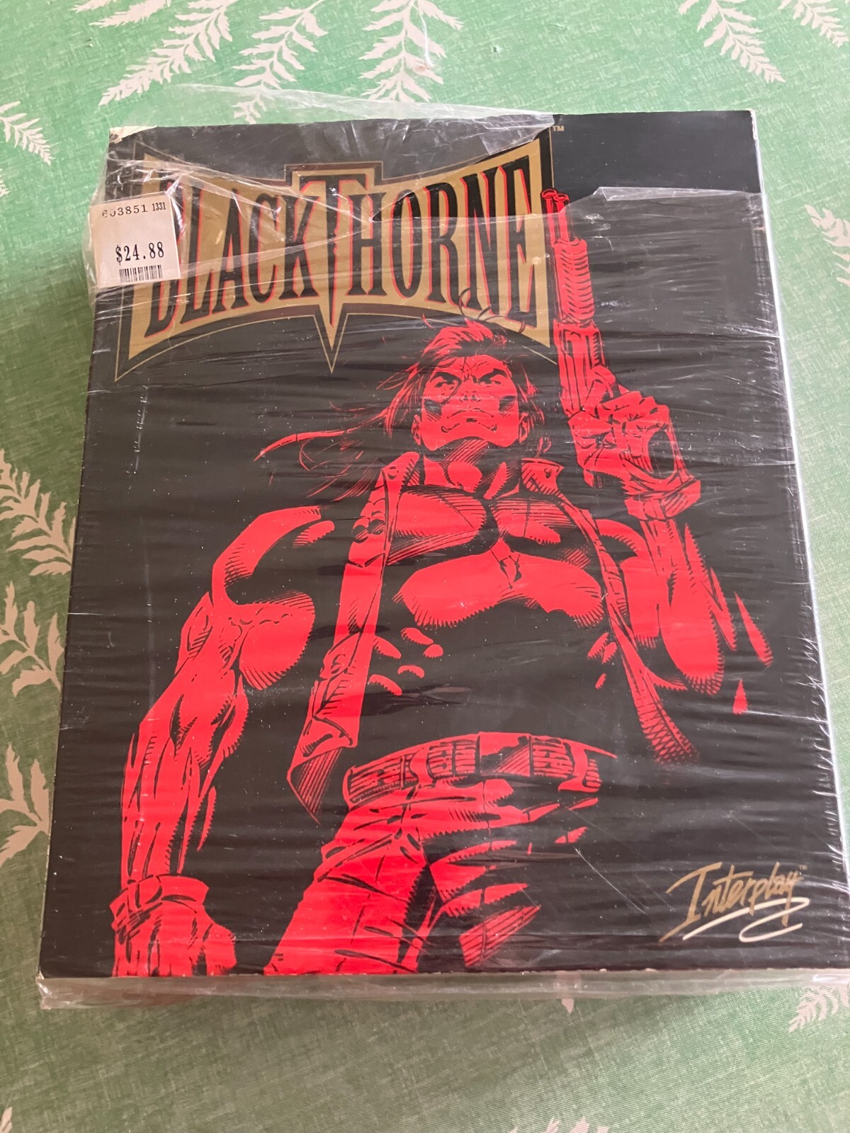 Black Thorne PC Video Game MS-DOS 3.5