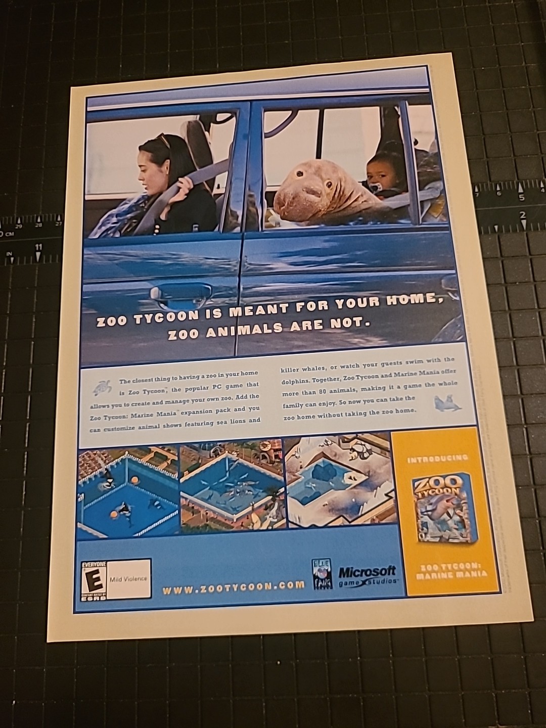 Zoo Tycoon Computer Game Microsoft Original Promo Art Print Ad 8X11 2003