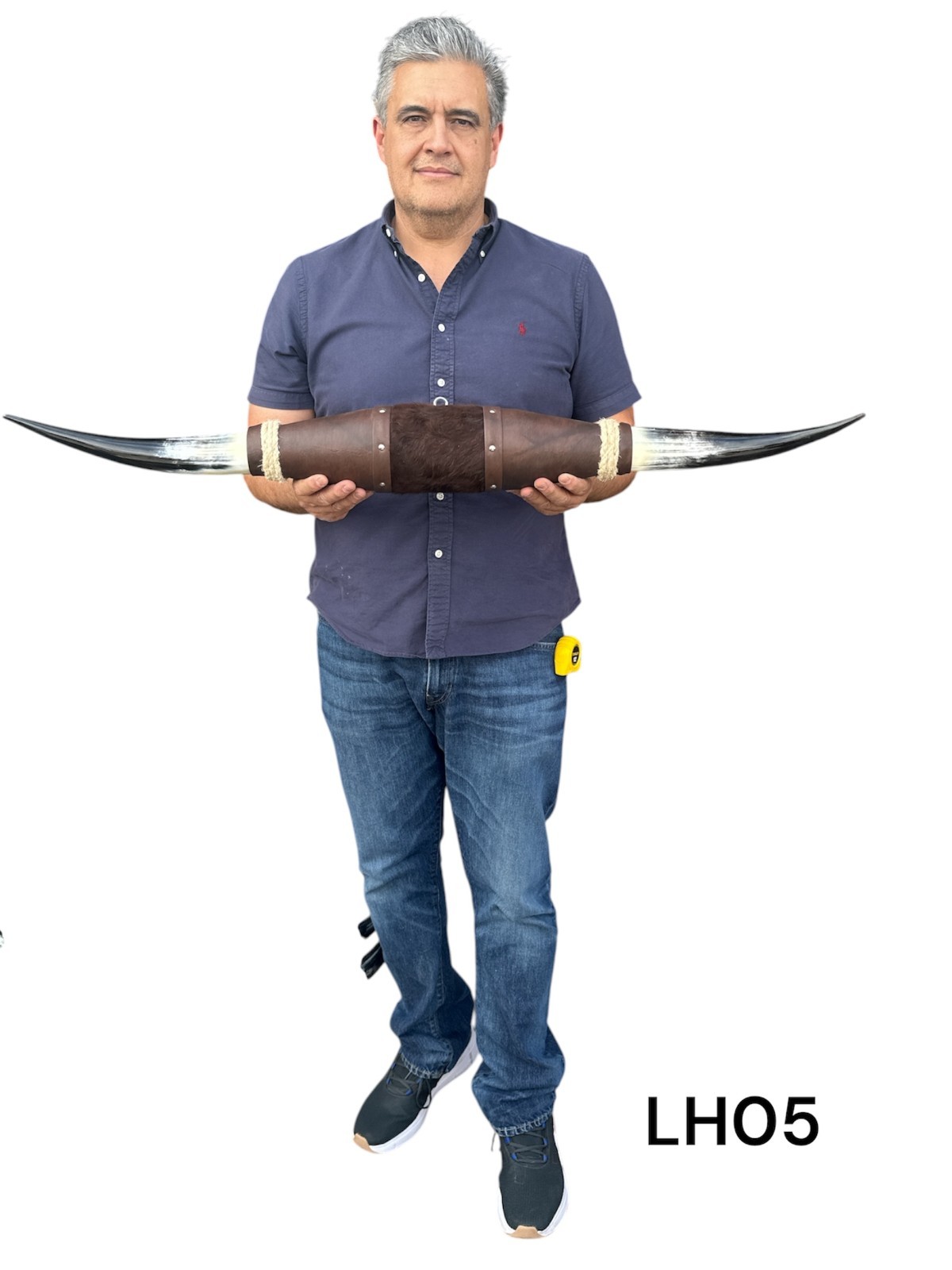 MOUNTED LONGHORNS , polished horns ,  taxidermy , 41