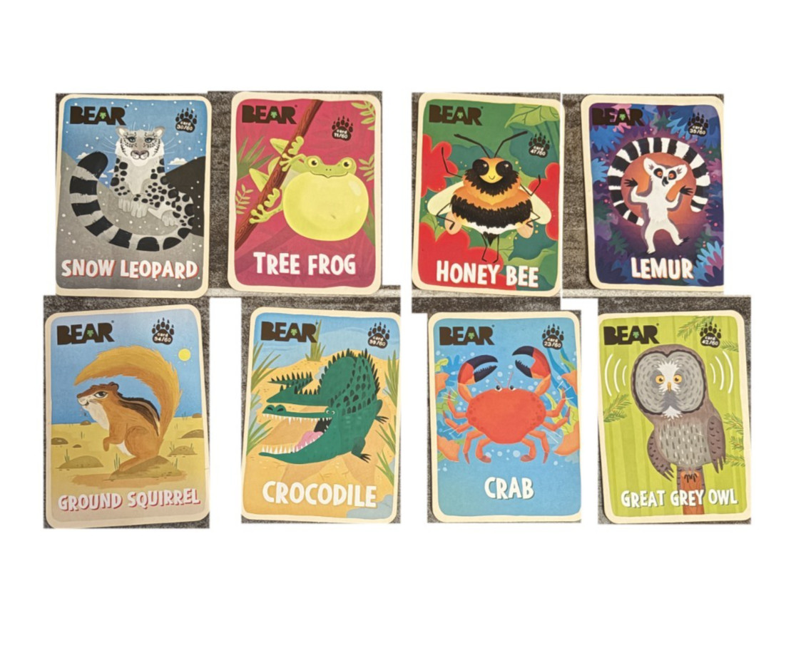 BEAR Fruit Snacks Animal Card Lot 8 Snow Leopard Tree Frog Lemur Honey Bee Crab