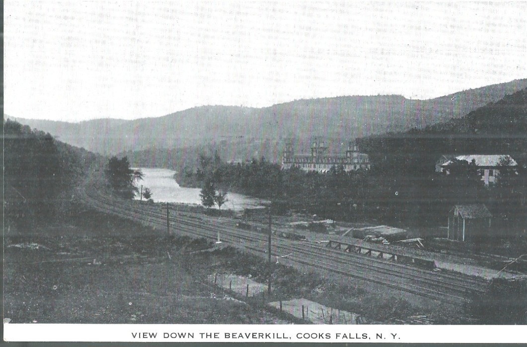 NICE EARLY  VIEW DOWN THE BEAVERKILL IN COOKS FALLS, NY WITH TRAIN TRACKS