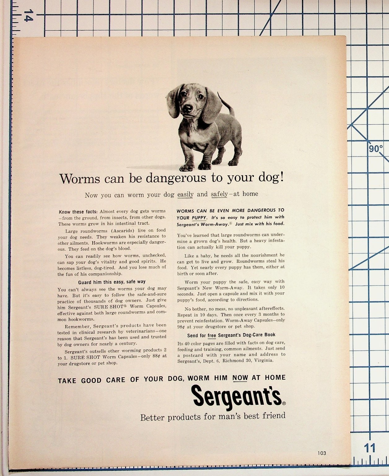 Vintage Sergeant\'s Dog Worm-Away Puppy Dachshund Magazine Ad Richmond VA