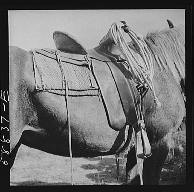 Photo:Ashland Montana 1900s Rodeo Cowhand Horse Saddle Detail