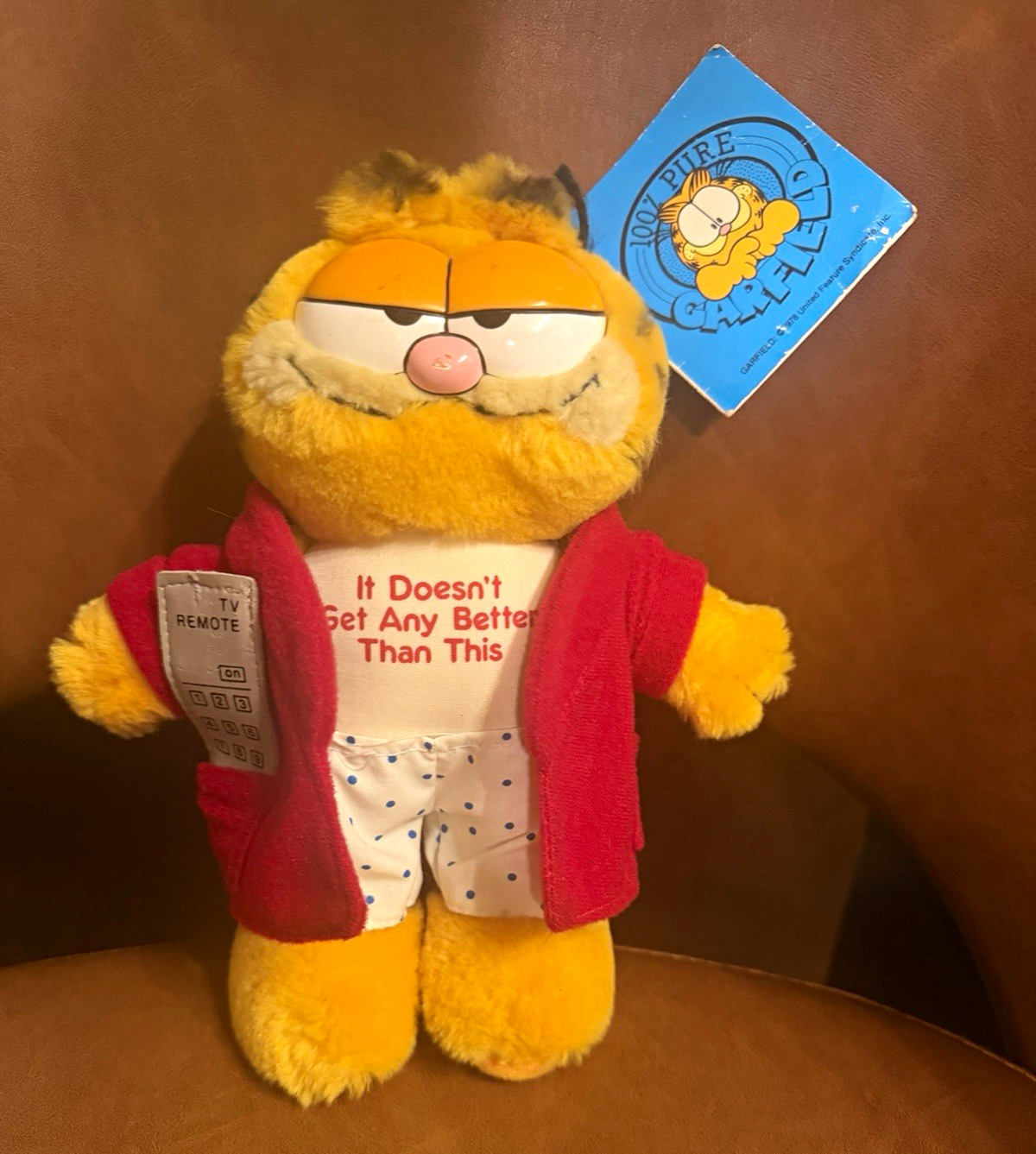 Vtg 1981 Garfield Plush with Robe, TV Remote & \