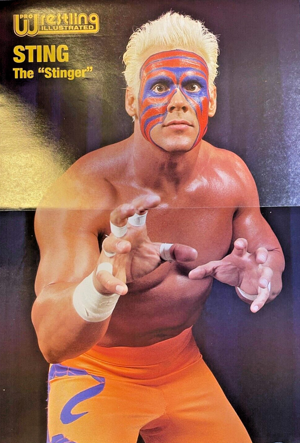 1995 Magazine Poster Pro Wrestler Sting The Stinger Steve Borden