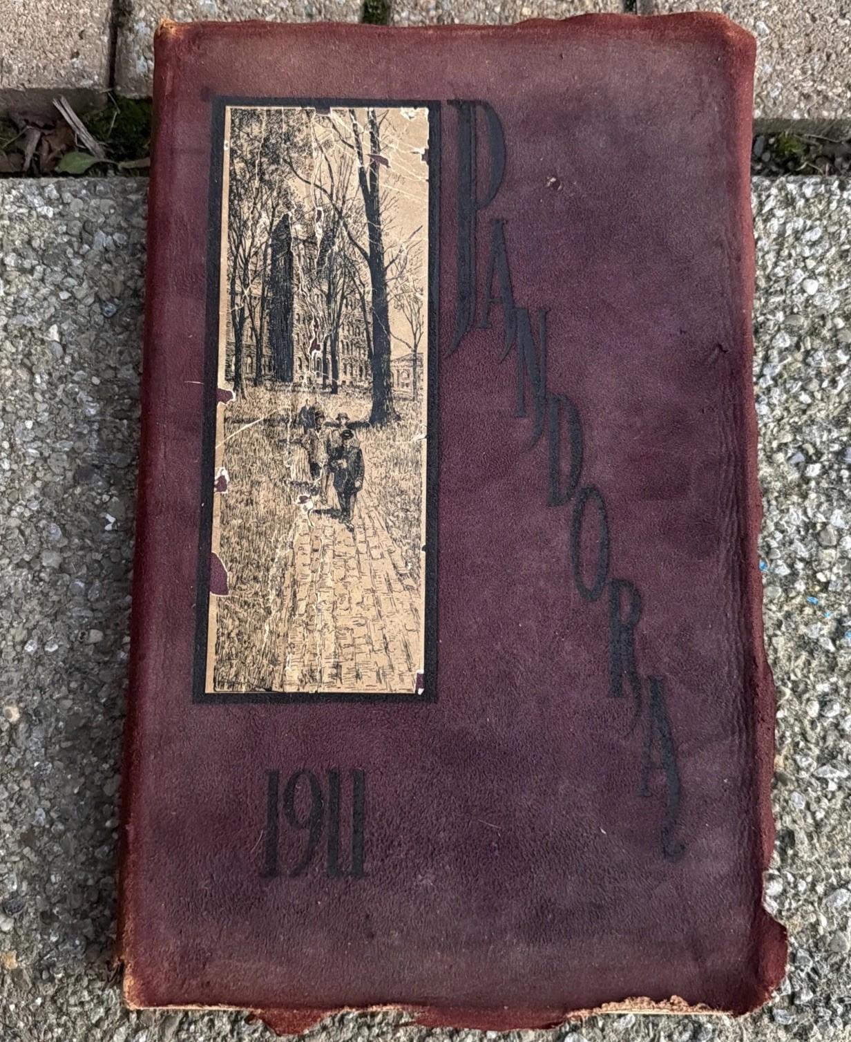 Vintage Pandora Yearbook 1911 Washington and Jefferson College Bill Steen