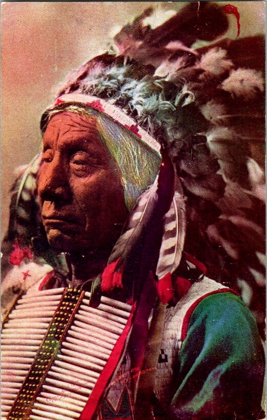 Vintage Postcard Red Cloud Lakota: Mahpíya Luta Oglala Lakota              C-429