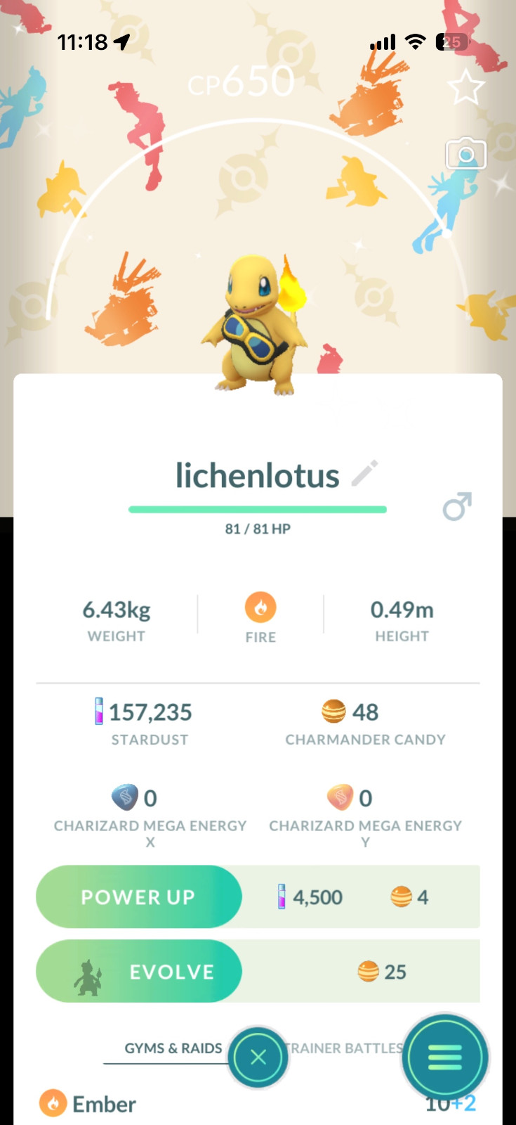 Pokémon Shiny Charmander Wearing Friede\'s Goggles  *2026 New Release*
