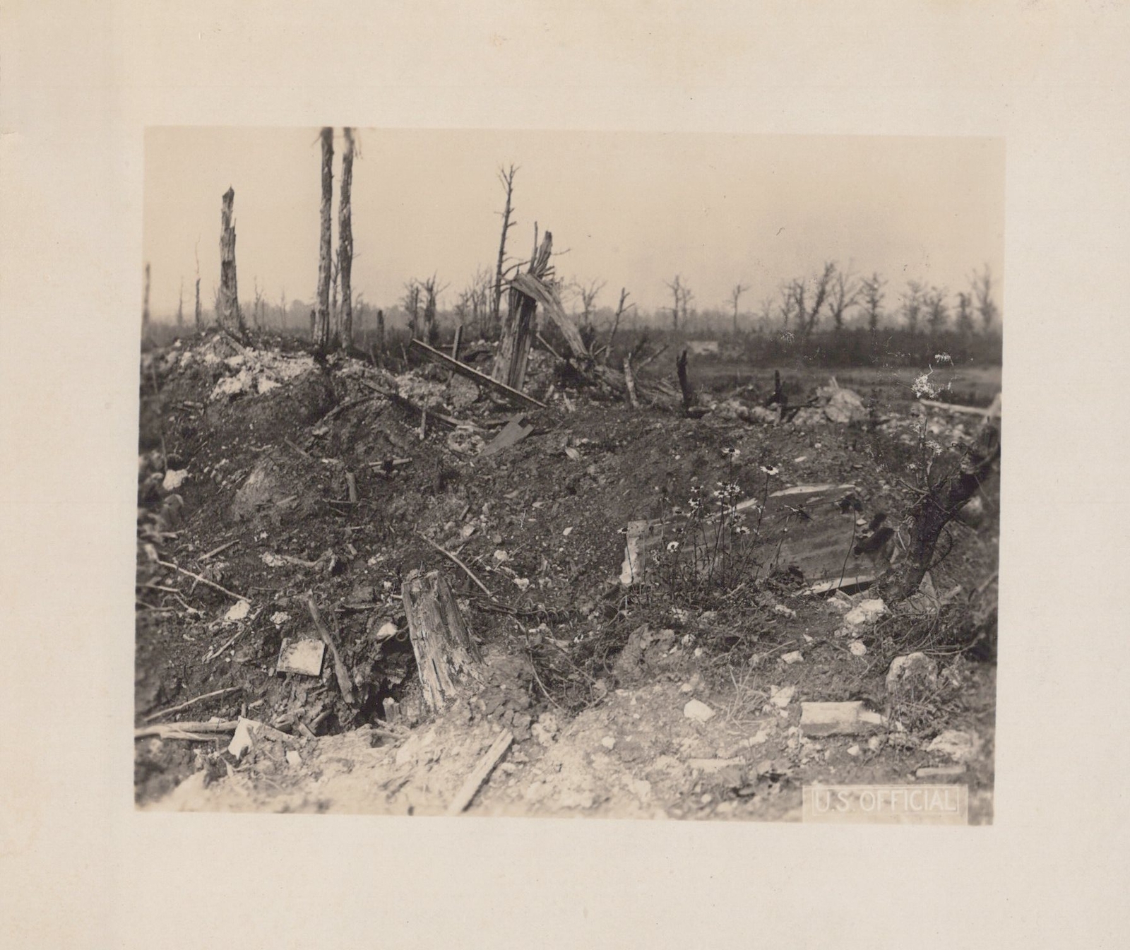 WW1 US AEF Official 1910s Verdun Battle Western Front Destruction Rare Photo
