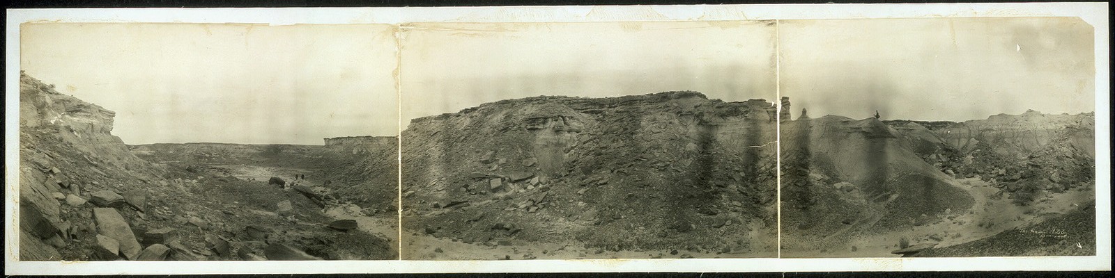 Photo:Petrified Forest of Arizona Panorama c1908