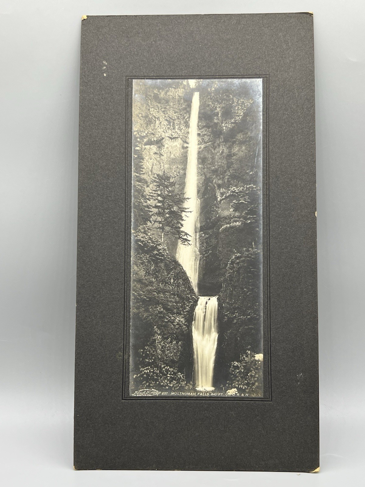 Rare Photo of Multnomah Falls. Columbia River, Oregon. 1902 Benjamin Gifford