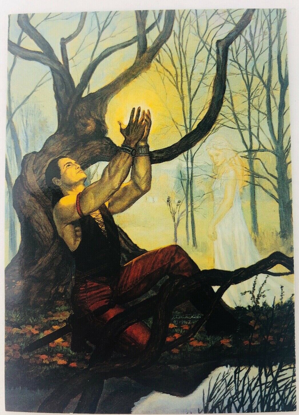 1995 FPG Cards Tom Kidd Trading Card The Earthstone #34
