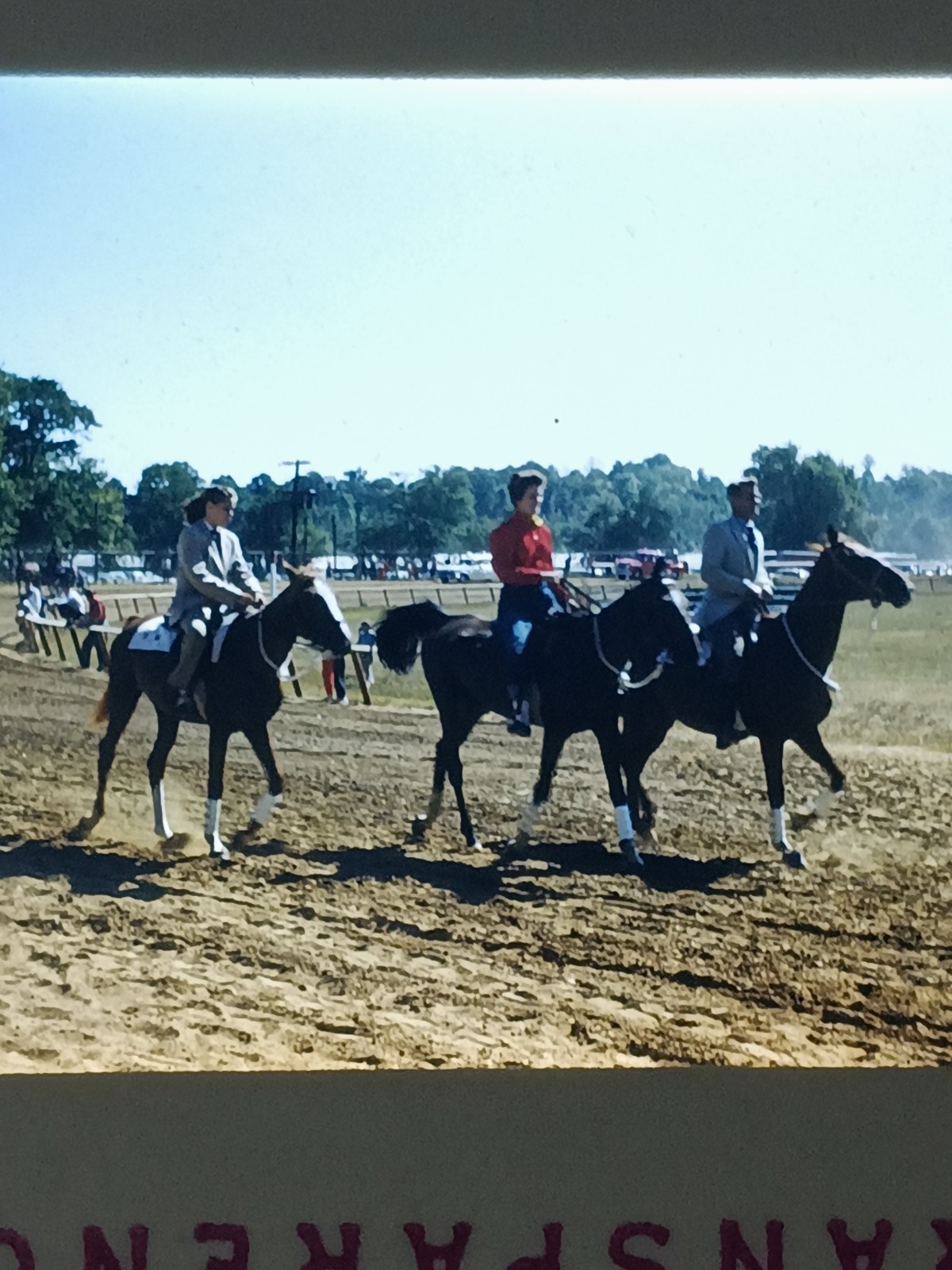 c1960's Kodachrome 35mm Slide,Man Women Horses Horse Show Fair