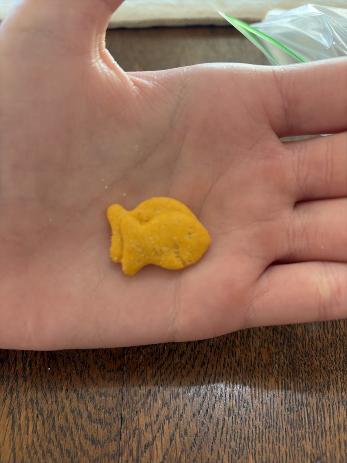 Extra Cheesy🧀 Goldfish With One Stuck To The Other One Like He’s Hiding ￼￼