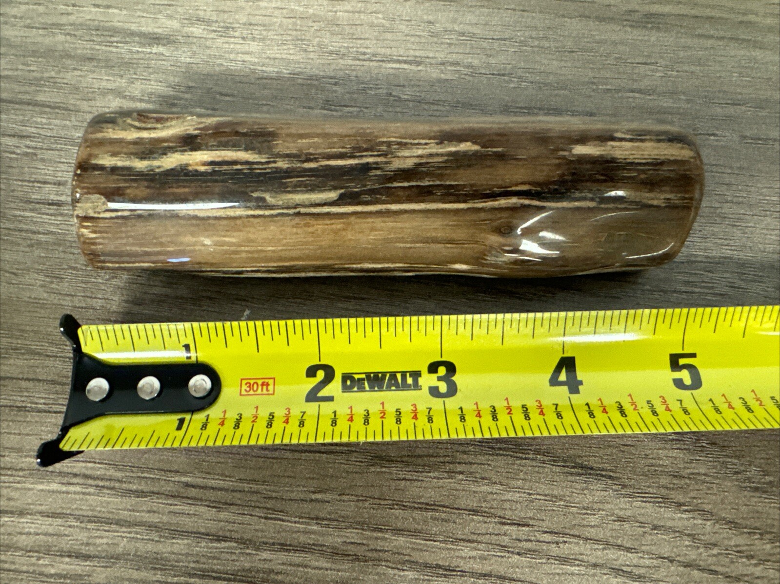 Polished Petrified Wood Natural Tumbled Fossil Specimen - 5” Weighs 250g