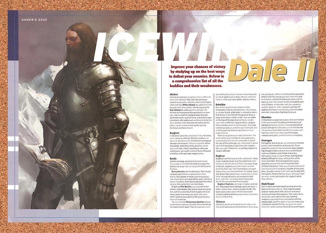 2002 Icewind Dale II PC Original Advertisement / Retro Promo vr3
