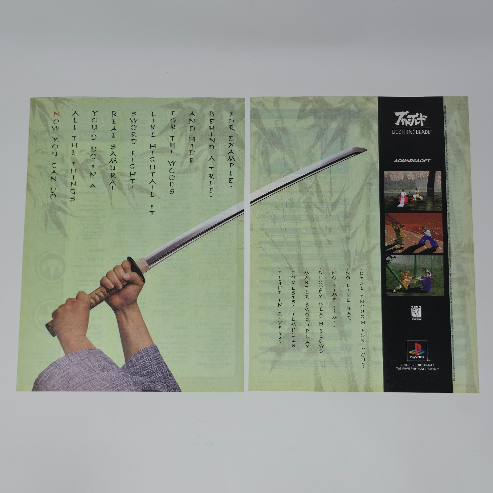 Bushido Blade PlayStation 1 PS1 Sword Fight Print Ad/Poster Art