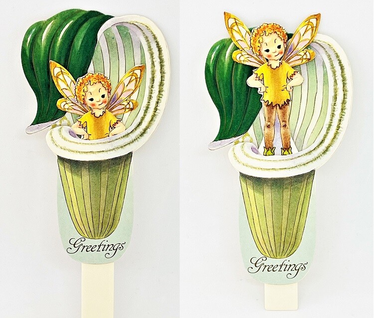 FAIRY in CARNIVOROUS PITCHER PLANT Vtg Mech PUSH-UP Greeting CARD-MINT Shackman