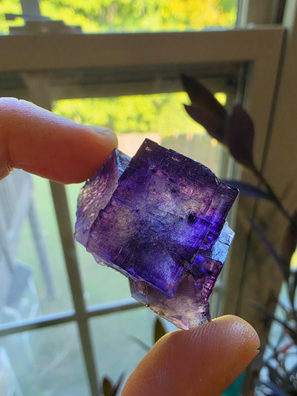**RARE Find** Quality Purple Fluorite Specimen. Elmwood Mine, Tenn. 