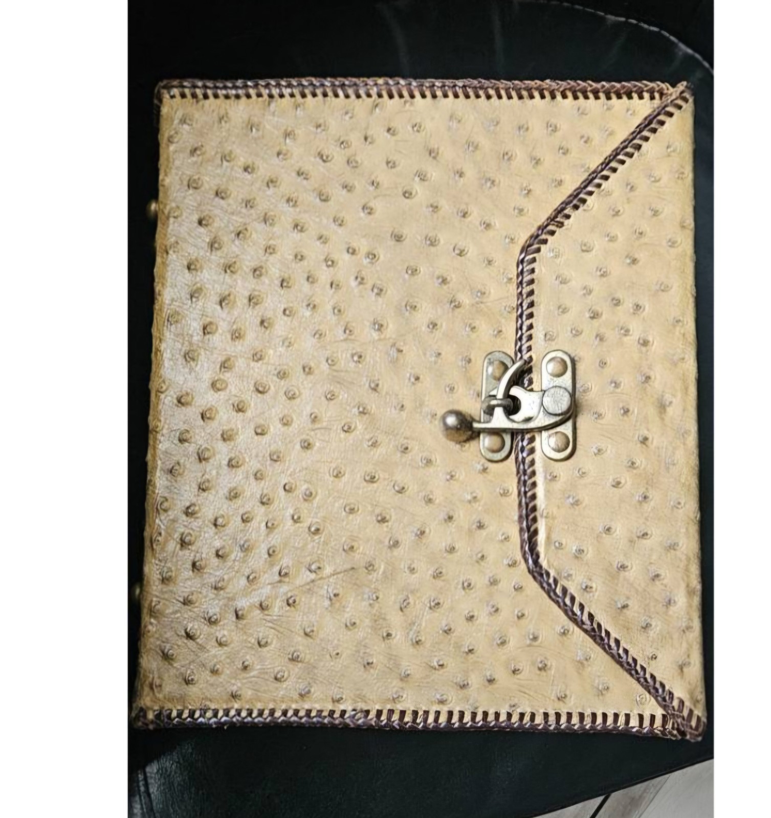 Vintage Western Ostrich Embossed Leather Storage Caddy Whipstitch Desk Organiser