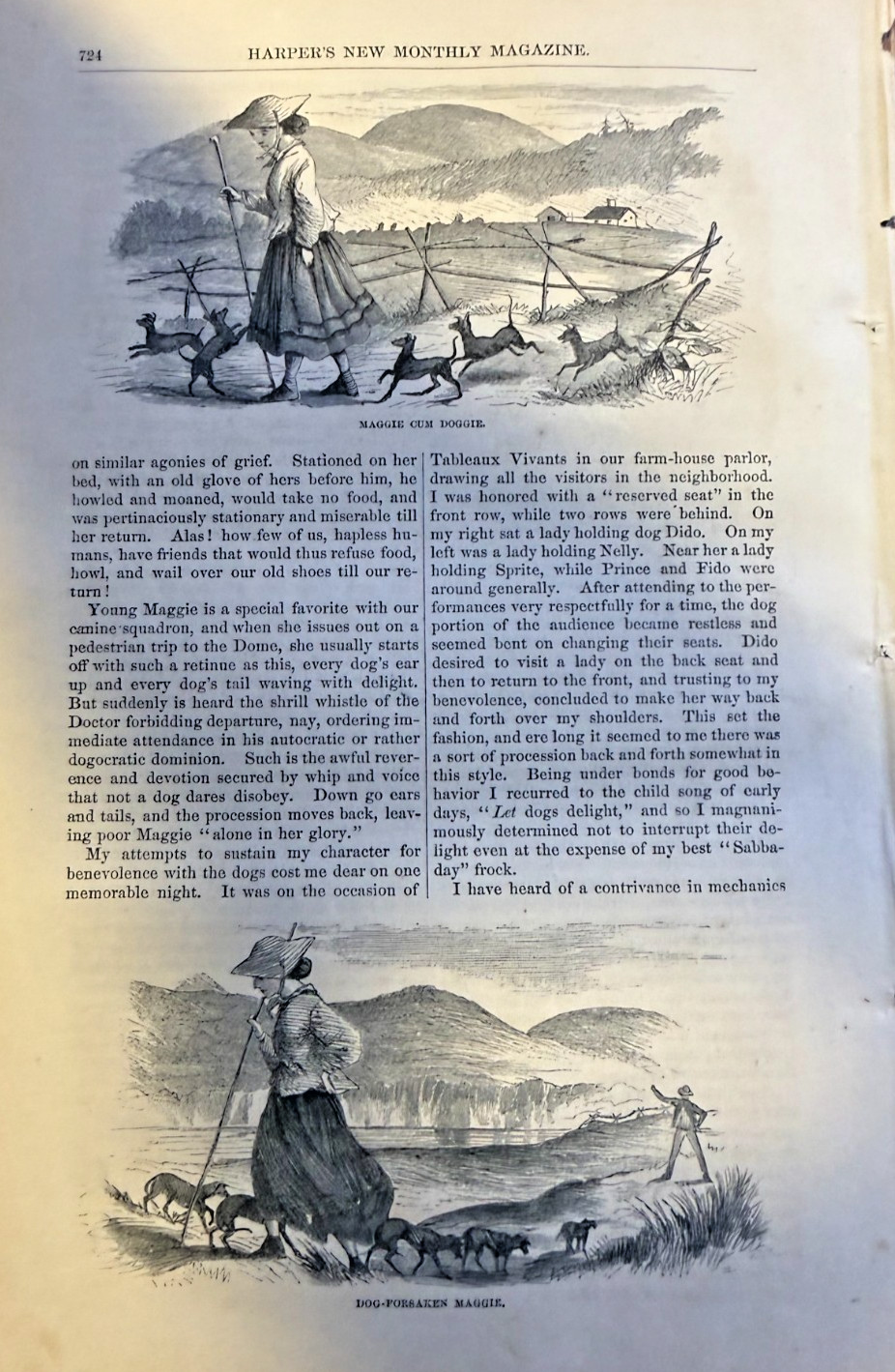 1866 Little Black Dogs of Berkshire illustrated