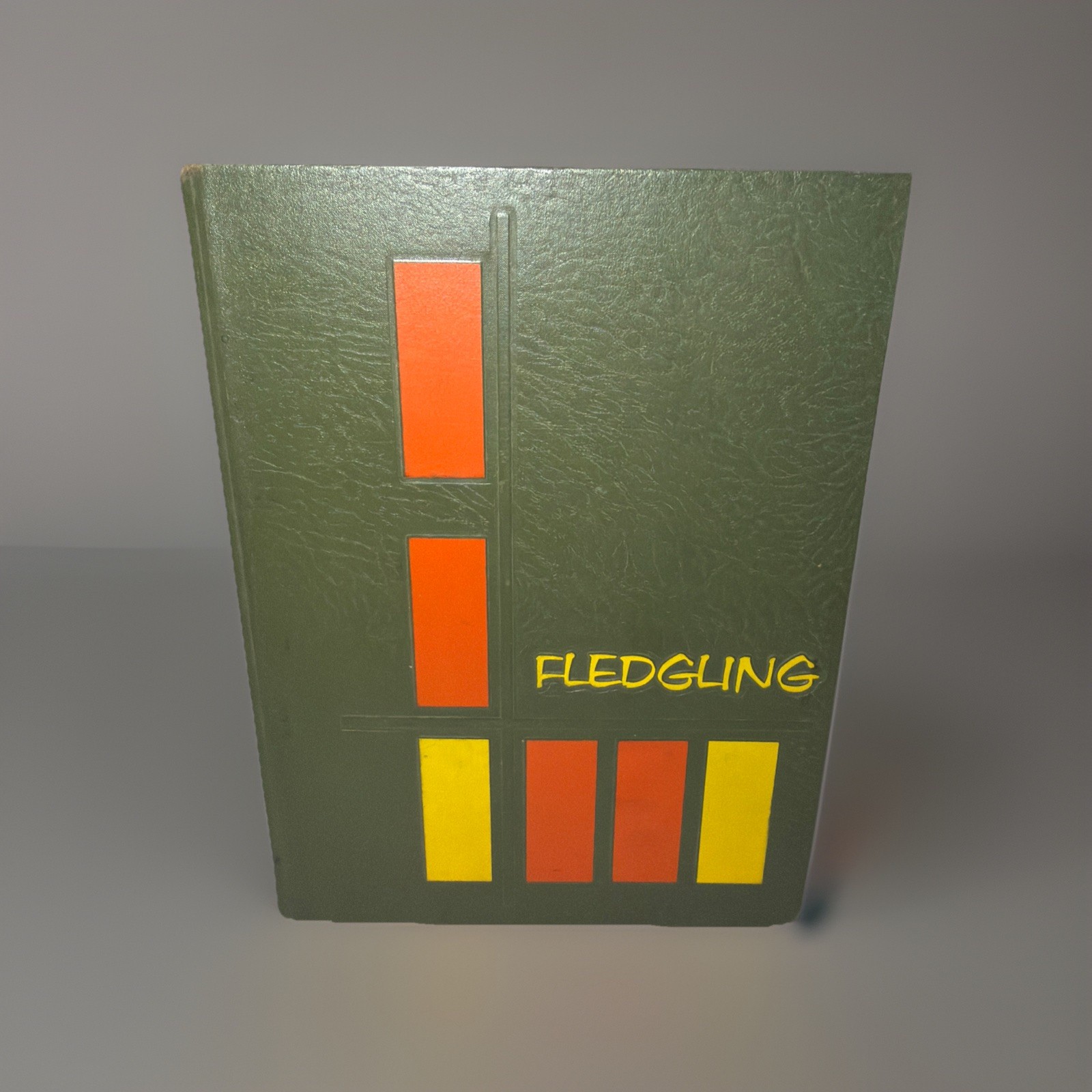 VTG 1967 FLEDGLING Wilmington College North Carolina NC Yearbook HTF