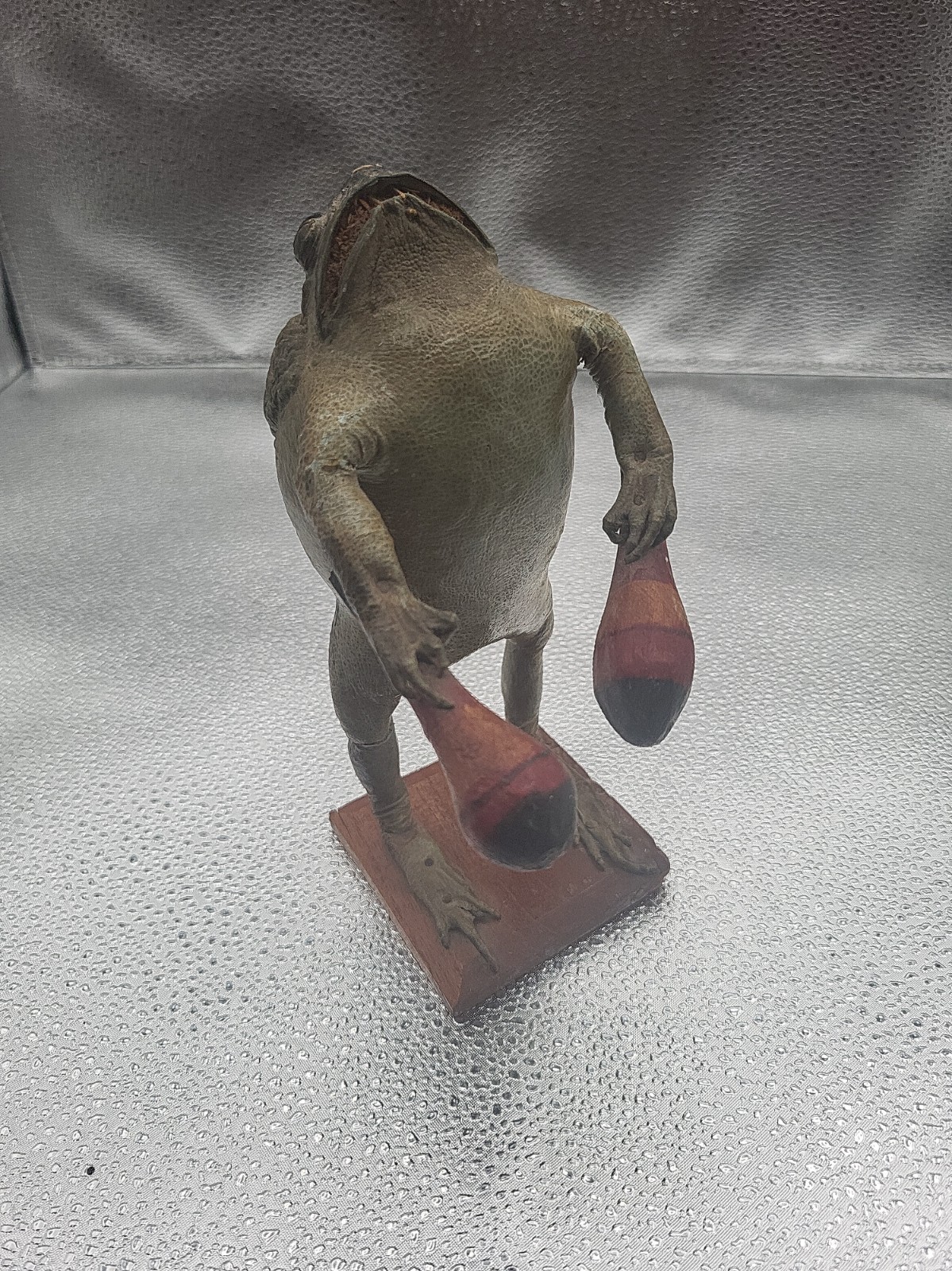 Vintage Taxidermy Frog Bullfrog Holding Maracas\'s