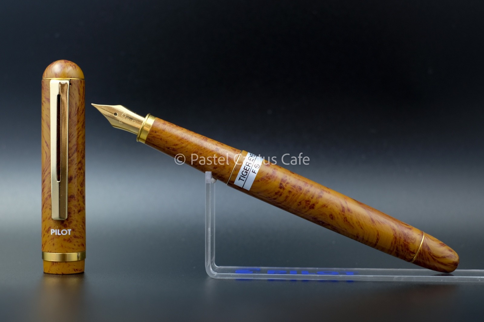 Pilot F 