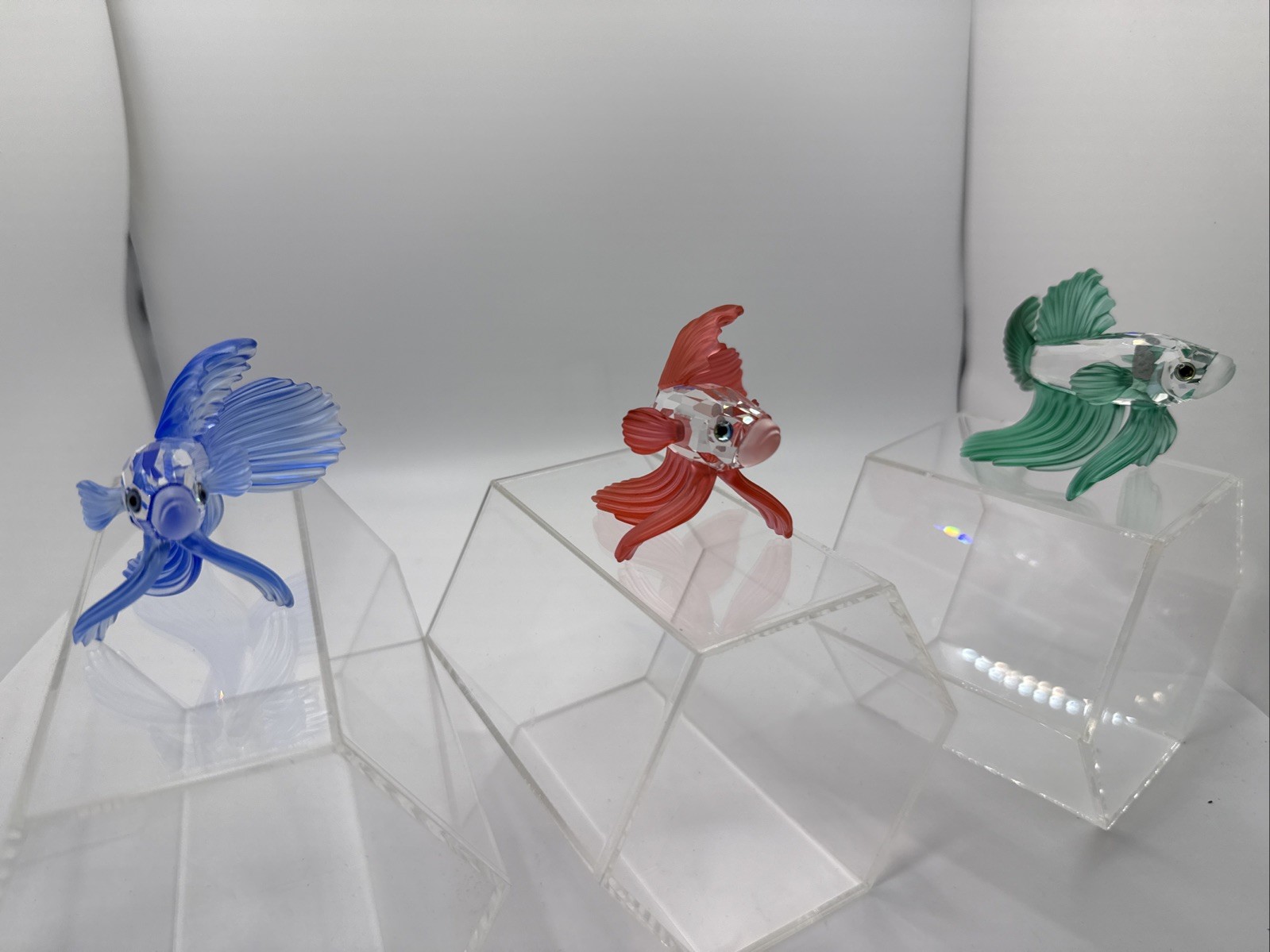 Swarovski SIAMESE FIGHTING FISH - RED /BLUE / GREEN ( 7644 NR 000 005/013/006)