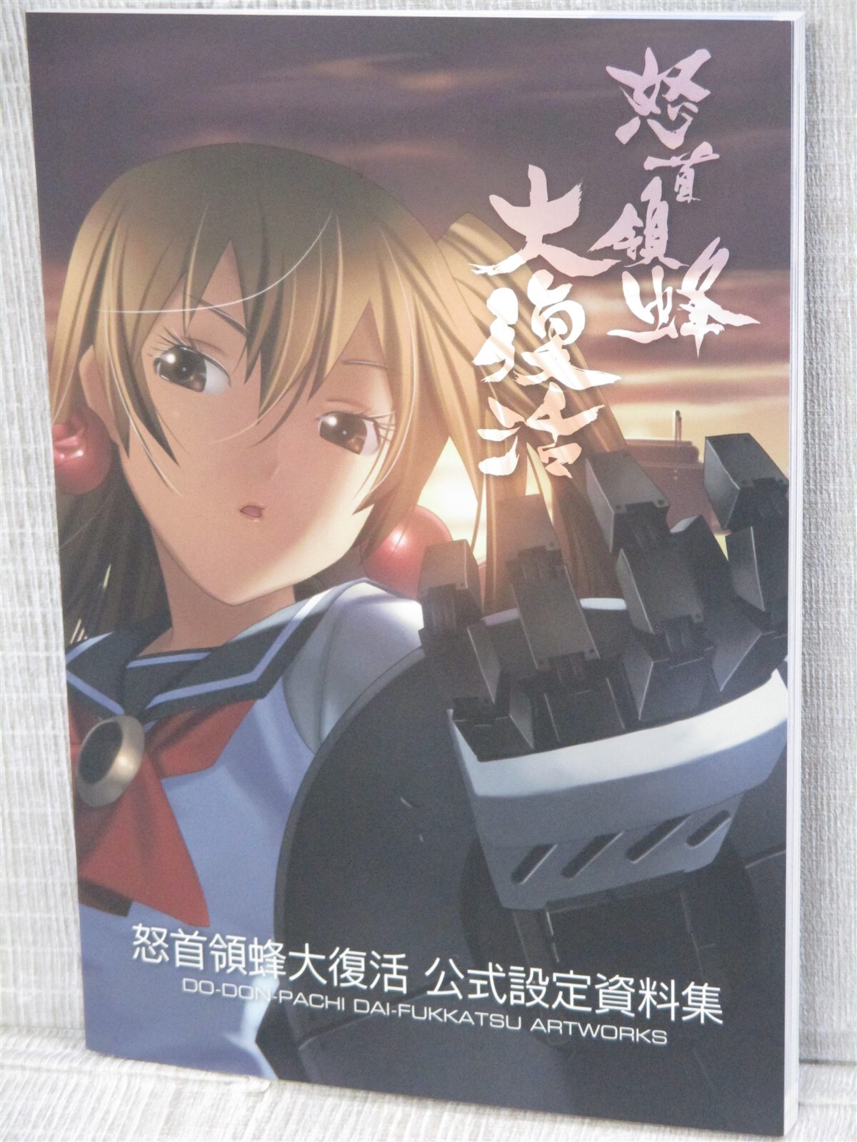 DODONPACHI DAI FUKKATSU Game Art Works Xbox360 Fan Book Japan