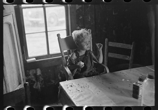 Photo:Southeast Missouri Farms Sharecropper Child Porch Cabin 1938