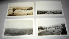 1914 Allwood Orange Grove View & Ranch Corona California Set of 4 Photographs Ca picture
