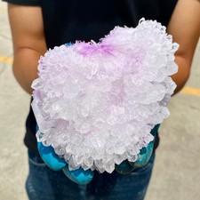 1.96LB Natural White Chrysanthemum Clear QUARTZ Crystal Cluster Point Specimen picture