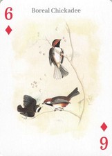 Audubon Boreal Chickadee 9 of Diamonds Playing Card Non-Sport picture