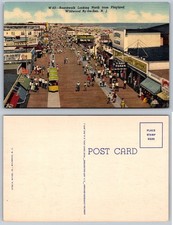 Wildwood NJ Boardwalk Playland C.T. Art-Colortone Postcard 1940s-50s Crowds picture