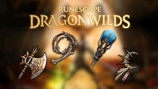 βπ₯β RuneScape DragonWild | 10k EXP Skill Tome Pack βπ₯β picture