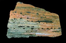 Jaw Dropping Rainbow Ocean Jasper  Polished Specimen Incredible picture