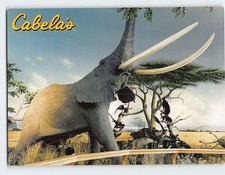 Postcard African dioramas Cabelas Owatonna Minnesota USA picture