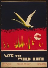 Vintage Save our Wildlife National Park Travel Art Poster Print picture