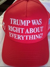 Red & White Official Trump  Was RIGHT About Everything  USA MADE 45-47   picture