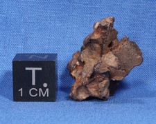 8.9 gram Imilac - Pallasite-PMG Skeleton - Found 1822, Atacama Desert, Chile picture