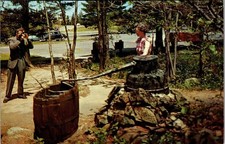 Vtg Moonshiner's Still Shenandoah National Park Skyland Skyline Drive VA picture