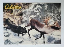 Postcard Cabela's Dundee Michigan USA Caribou Display picture