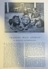 1902 Training Wild Animals Performing Lions Bears Elephants illustrated picture