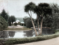1905 Botanical Gardens Dunedin NZ Postcard NSW Pyrmont Leystone Sydney picture
