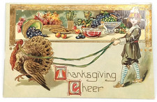 Antique 1911 Selmar Bayer Thanksgiving Postcard Posted Pittsfield Illinois picture