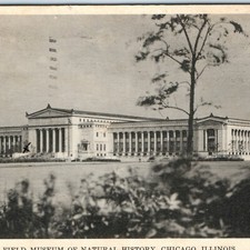 c1930s Chicago, IL Field Museum of Natural History Postcard Henry Fuermann Photo picture