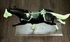 Breyer Poltergeist #1763 Halloween 2016 Skeleton Horse Glow in the Dark Ruffian picture